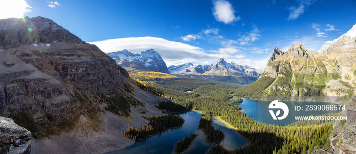 Panoramic View of Glacier Lake with Canadian Rocky Mountains in Background. Sunny Fall Day. Located in Lake O’Hara, Yoho National Park, British Columbia, Canada. Nature Panorama