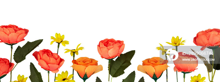 rose flower arranged for banner frame