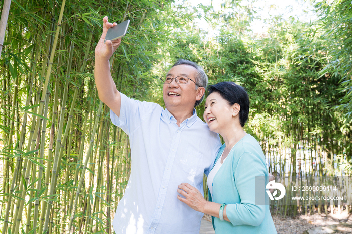 一对老夫妻在竹林散步