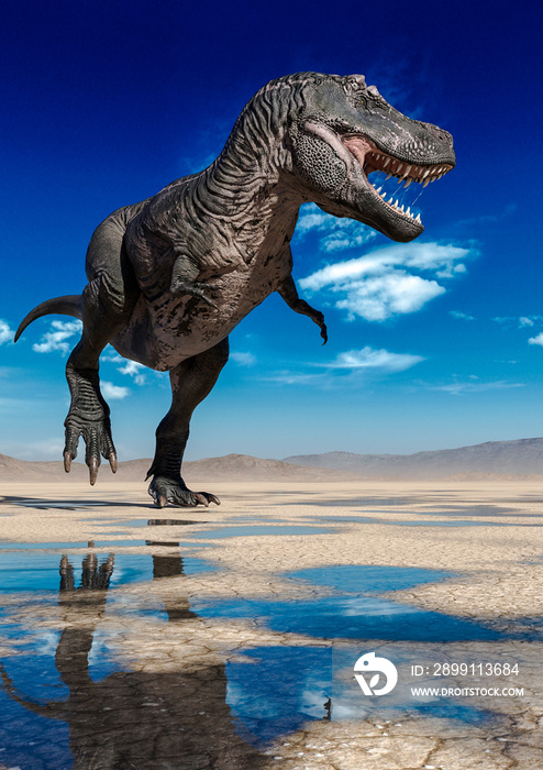 tyrannosaurus rex is looking for food on desert