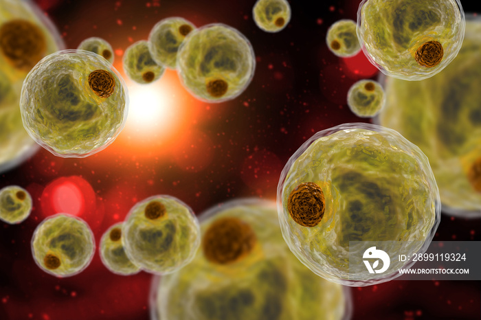 Adipocyte Human Fat Cells 3D Illustration