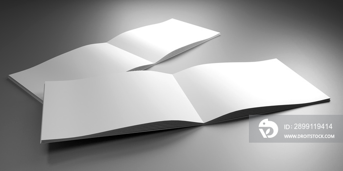 A4/ A5 brochure mockup - pages inside - 3D rendering