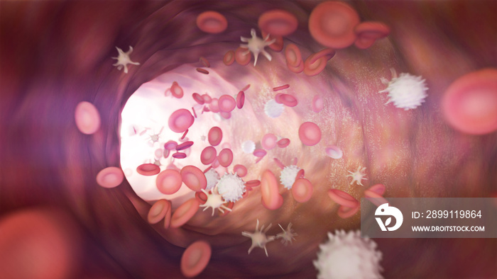 3D illustration of a bloodstream with red cell white cell and platelet