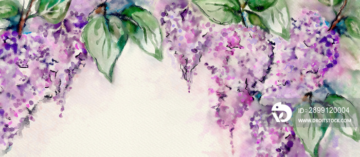 Blooming lilacs. Watercolor spring background