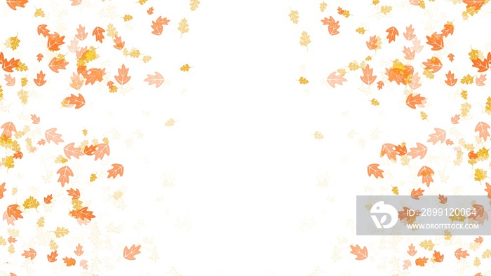 秋季框架背景，白色背景上隔离秋季假期的树叶，壁纸插图