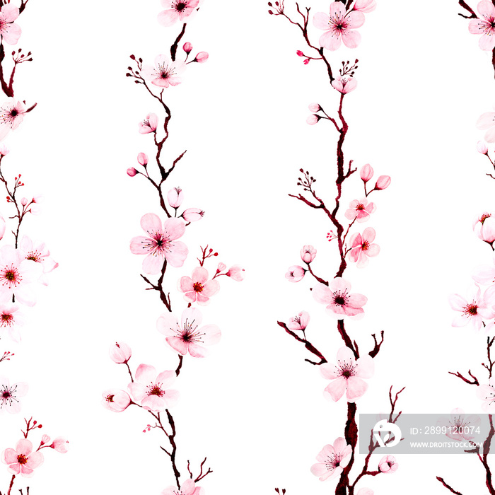 手绘水彩樱花树枝的无缝图案。白色背景上的插图