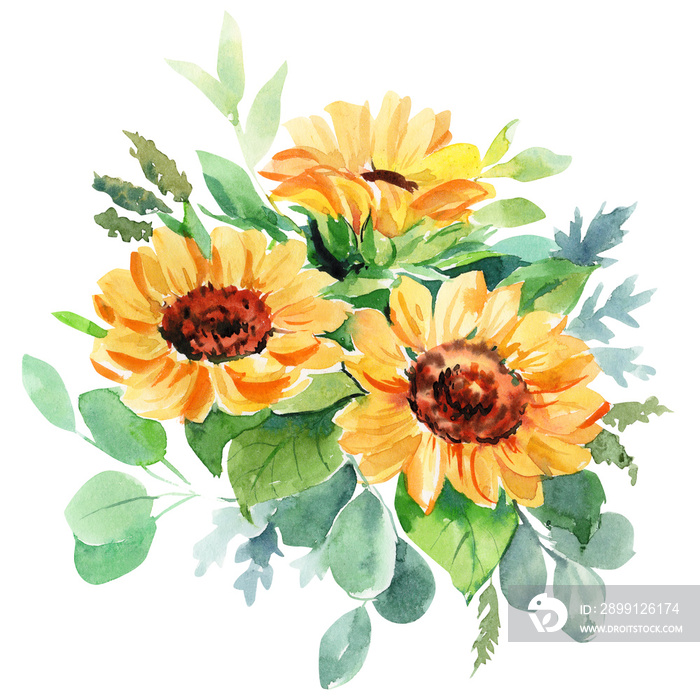 beautiful bouquet of flowers with sunflowers and eucalyptus, watercolor illustration, hand drawing