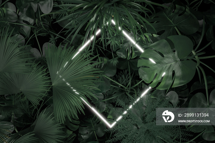 热带树叶覆盖的旋转方形霓虹灯的三维渲染。最小自然平面
