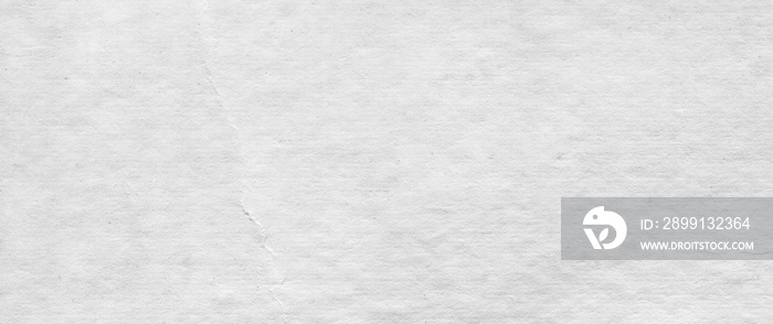 white paper texture canvas background