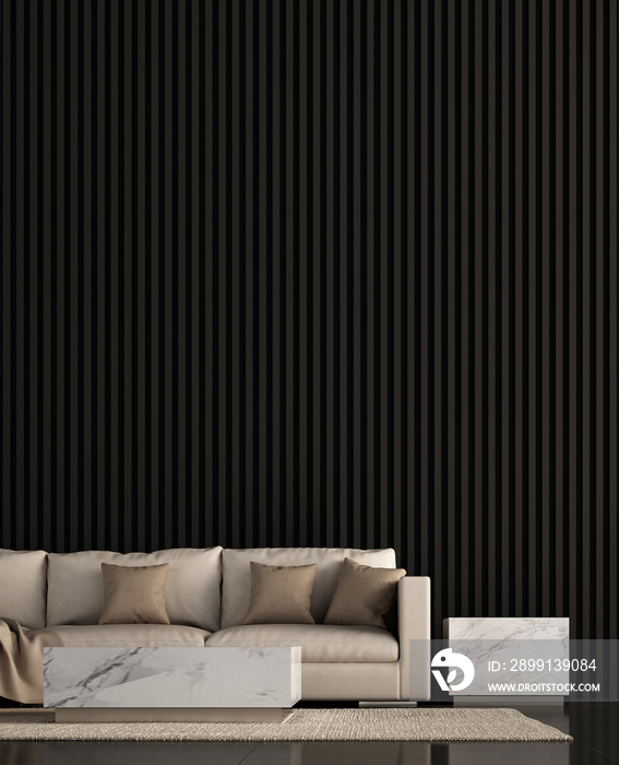 Modern luxury interior design of lounge and living room interior design and black wall tile texture 