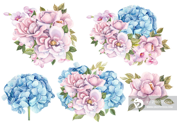 watercolor flowers, bset bouquet of flowers, light pink roses and blue hydrangeas, watercolor illust