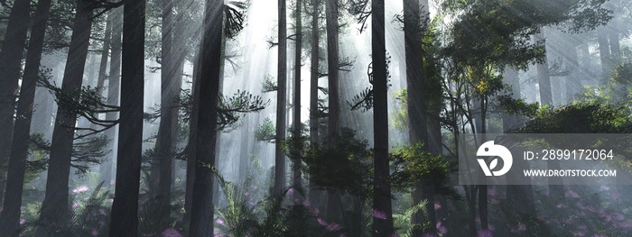 Trees in the fog. The smoke in the forest in the morning. A misty morning among the trees. 3D render