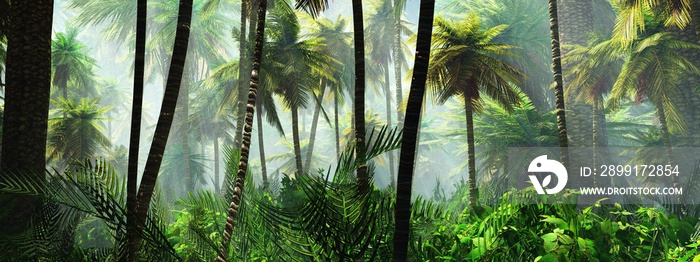 Rainforest in the fog, jungle in the morning in the haze, palm trees in the fog