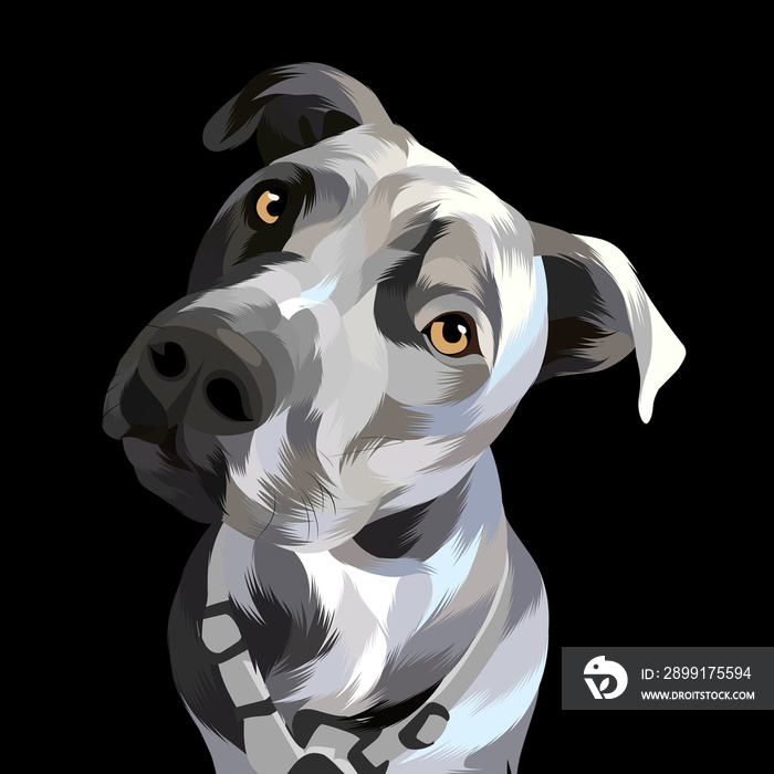 Dog pop art illustration black background