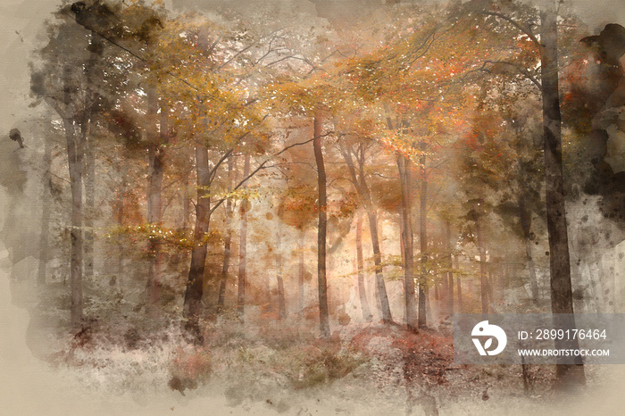 Watercolour painting of Stunning colorful vibrant evocative Autumn Fall foggy forest landscape