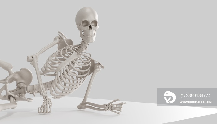 休息和冷却骨骼模型三维渲染