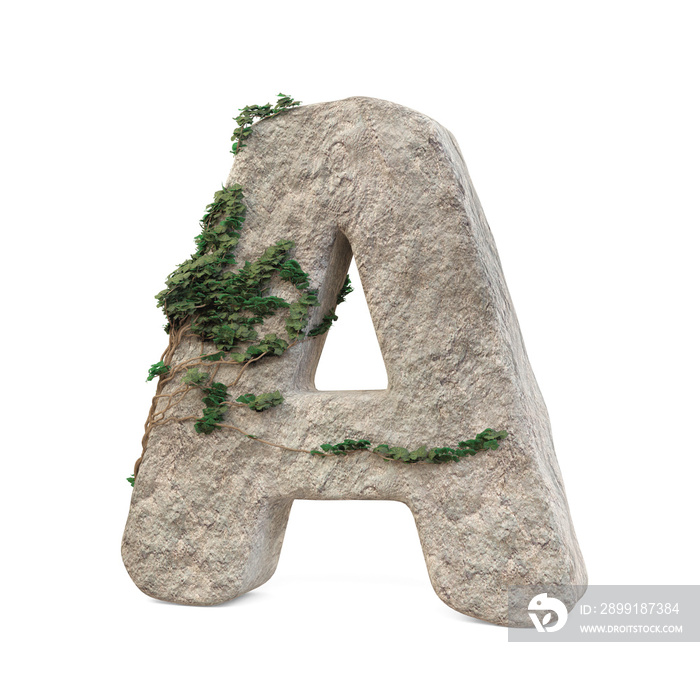 Realistic stone letters with ivy, isolated on a white background. 3d image