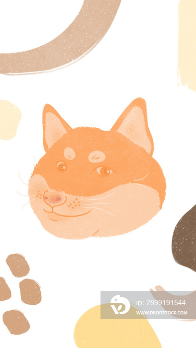 celebrating International Dog Day cute chubby shiba inu on transparent background