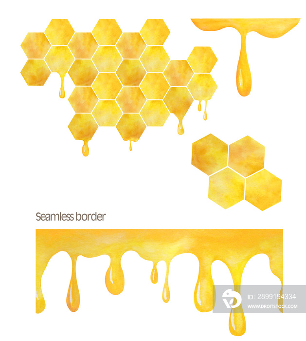 水彩蜜蜂剪贴画，数字夏季剪贴画，手绘，蜂蜜边框插图