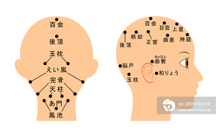 頭のツボ