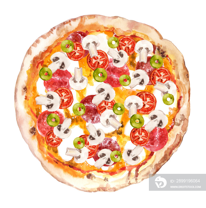 Watercolor hand painted delicious pizza with champignon, olives, tomatoes and salami illustration is