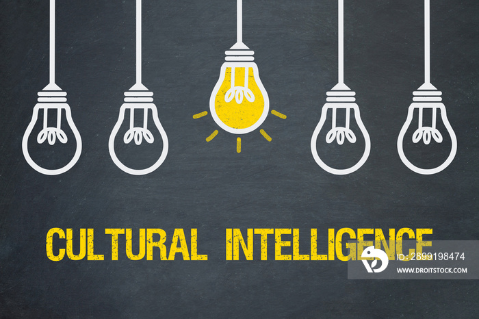 Cultural Intelligence