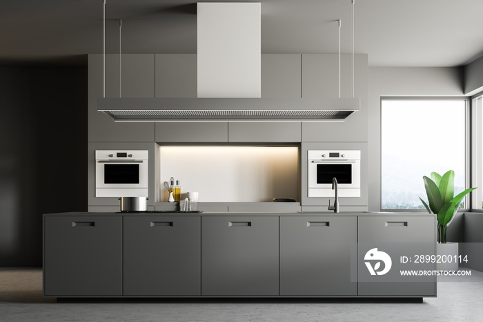 Gray modern kitchen interior, island