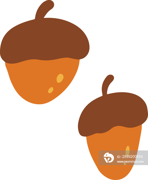 Cute acorn Illustration for design element