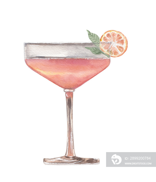 Red cocktail with orange watercolor  of drink Restaurant bar menu, hand painted alcoholic beverage. Fruits and herbs Food Cooking Recipe design elements