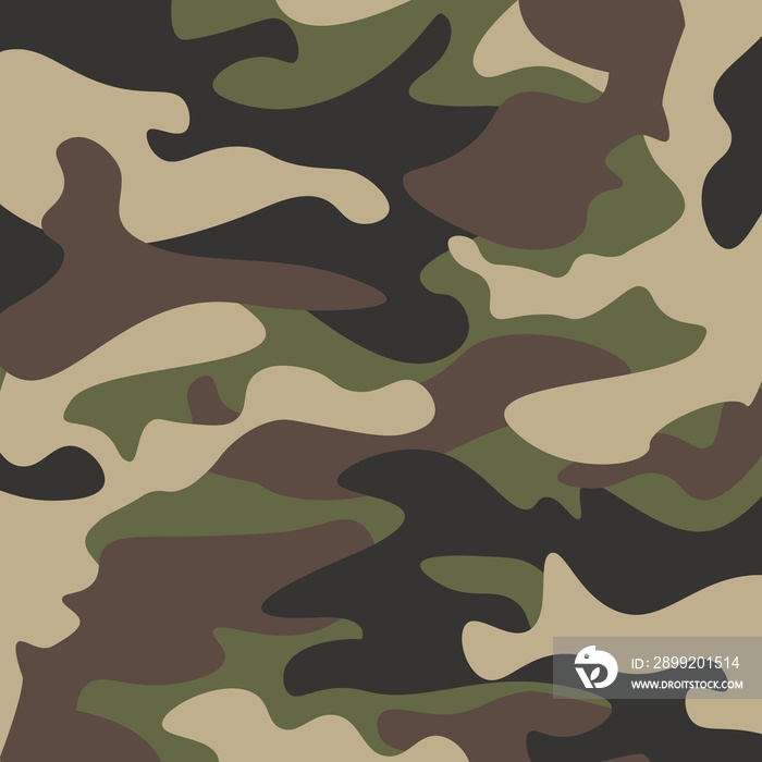 Camouflage pattern background. Classic clothing style masking camo repeat print. Green brown black olive colors forest texture. Design element. Vector illustration.