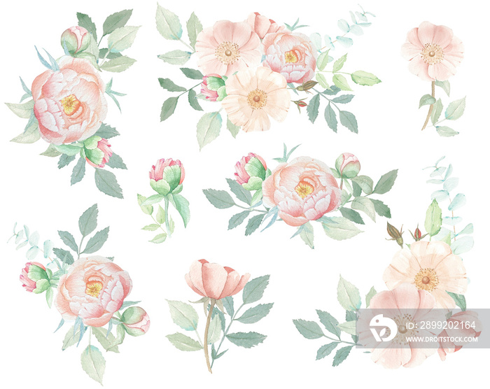 Vintage flowers peony and roses. Watercolor set of vintage flowers bouquets with roses and peony for wedding invintation, cards, pastel colors