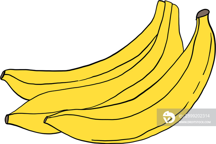 doodle freehand sketch drawing of banana fruit.