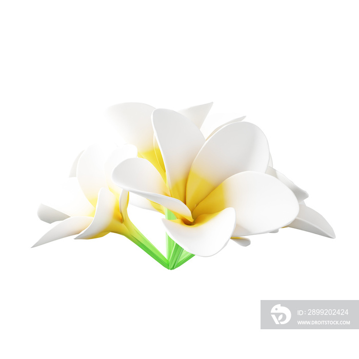 3D Champa Flower