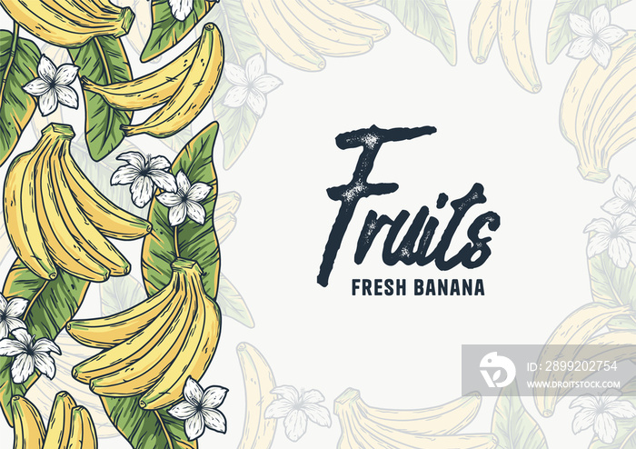 Bananas frame with text area. Summer tropical fruits