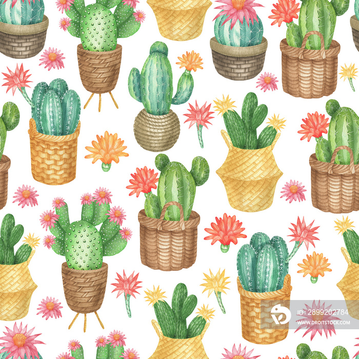 Pattern of cacti in pots