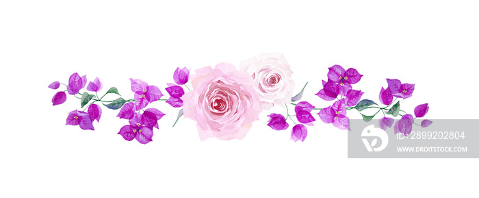 Beautiful floral border with purple bougainvillea and pink roses. Branch with exotic flowers and leaves isolated on white background. Hand drawn watercolor.