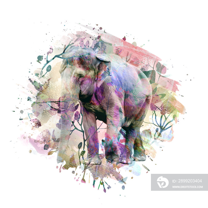 elephant in africa color art
