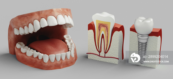 Dental care, 3d rendering