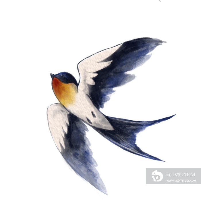 Swallow flight