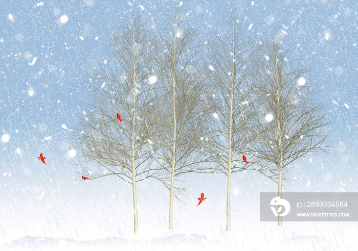 Five bright red cardinal birds gather in winter in the branches of aspen trees in a field of snow.