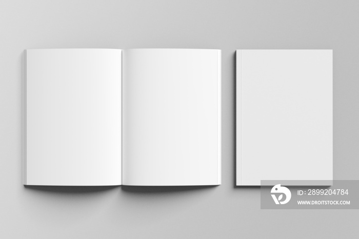 Blank Magazine Mockup