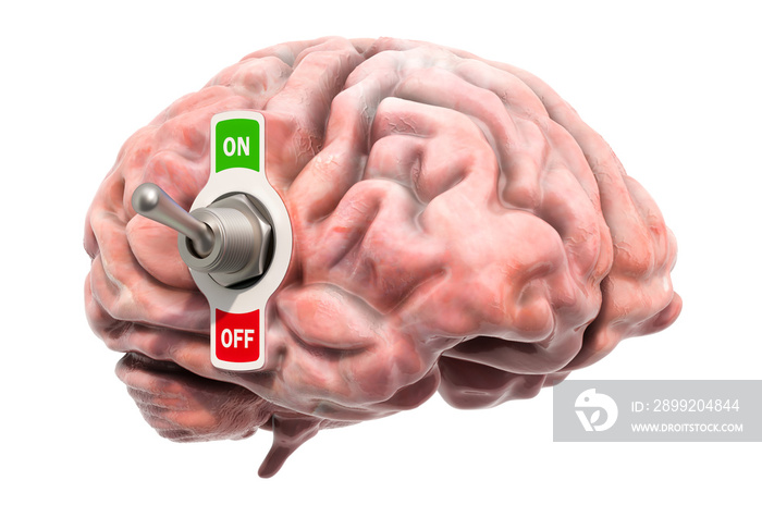 Brain with toggle switch on, 3D rendering