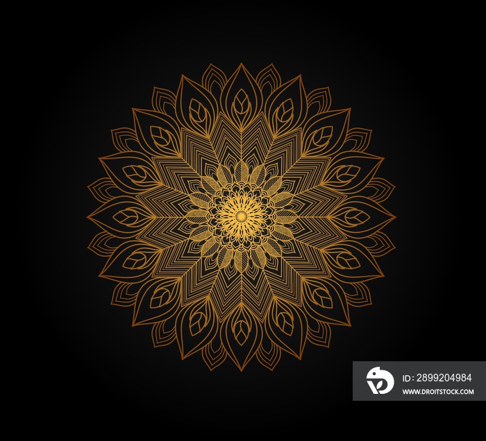 Luxury mandala artistic design on white