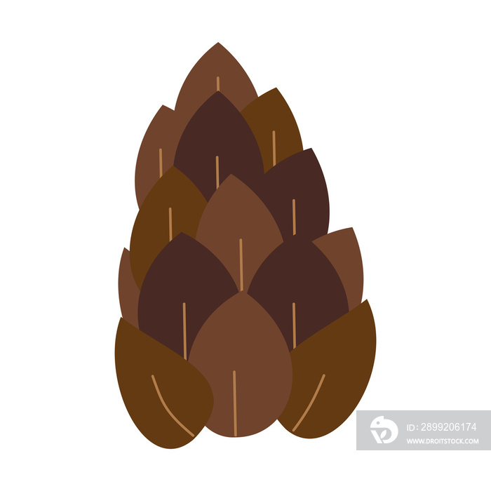 illustration of a pine cone