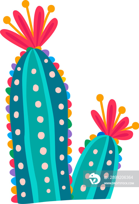 Colorful mexican desert cactus with flowers