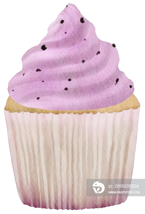 watercolor cupcake blueberry