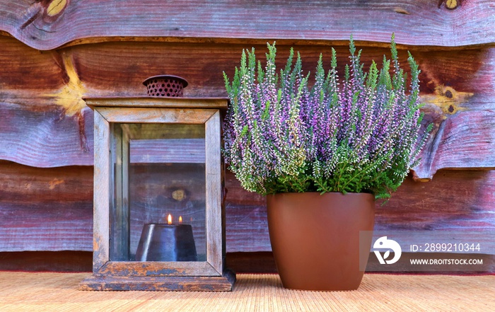 Heather plant in pot next to a lantern with candle. Autumn decoration. Card for All Saints’ Day, All Souls’ Day,  Condolences...