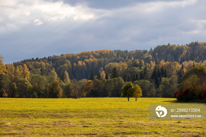 Nature view with autumn trees, green grass and sun with blue sky and gray clouds