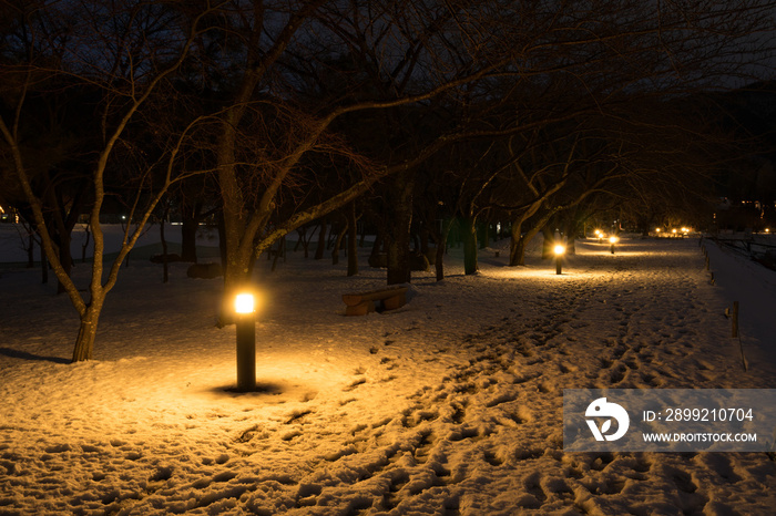 雪の夜道