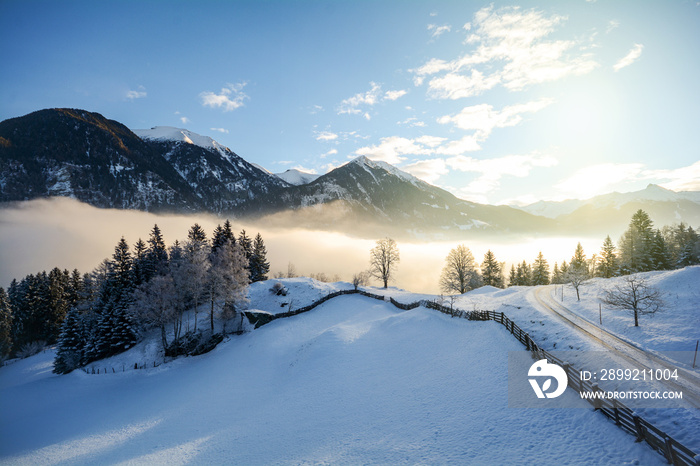 Traumhafte Winterlandschaft mit verschneiten Bäumen in den österreichischen Alpen bei Salzburg